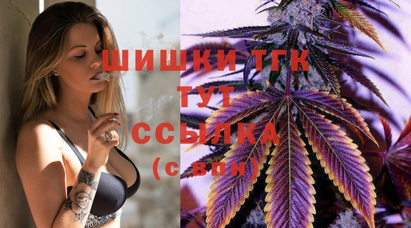 дживик Осташков